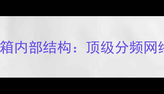 图片 百万级Hi-Fi音箱内部结构：顶级分频网络与定制单元全