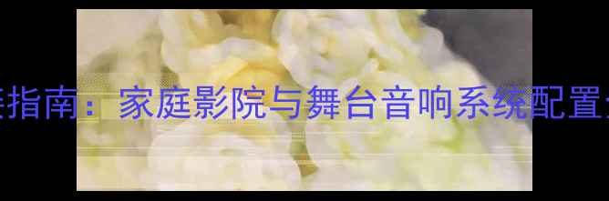图片 皇冠202功放专业连接指南：家庭影院与舞台音响系统配置全（含高清接线图）2