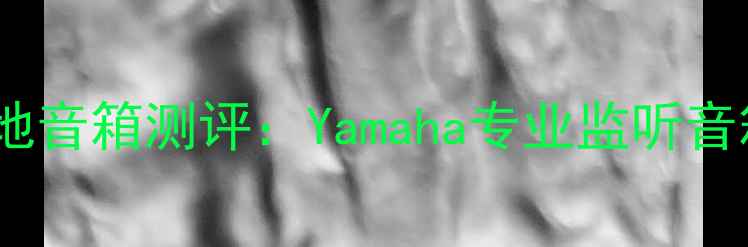 图片 真力落地音箱测评：Yamaha专业监听音箱深度1