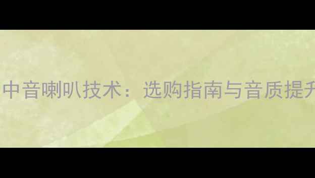 图片 短音圈纯中音喇叭技术：选购指南与音质提升全攻略2