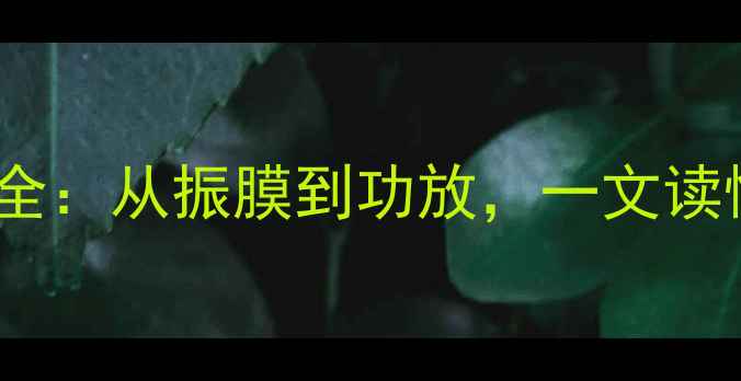 图片 石头音箱核心组件全：从振膜到功放，一文读懂专业级音响搭建1