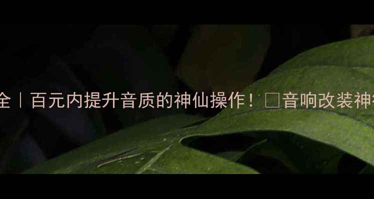 图片 神行音响改装方案全｜百元内提升音质的神仙操作！🎵音响改装神行音响性价比改装1