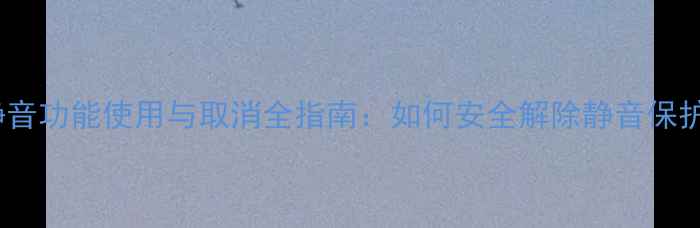 图片 福克斯音响静音功能使用与取消全指南：如何安全解除静音保护（最新版）1