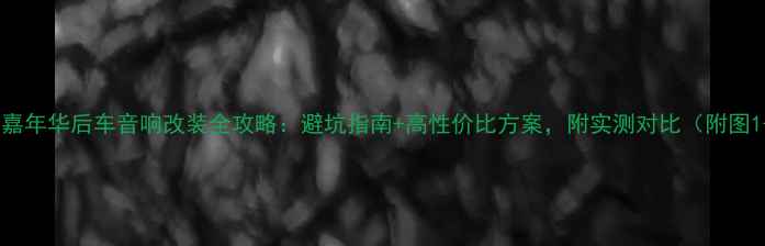 图片 福特嘉年华后车音响改装全攻略：避坑指南+高性价比方案，附实测对比（附图1-3）