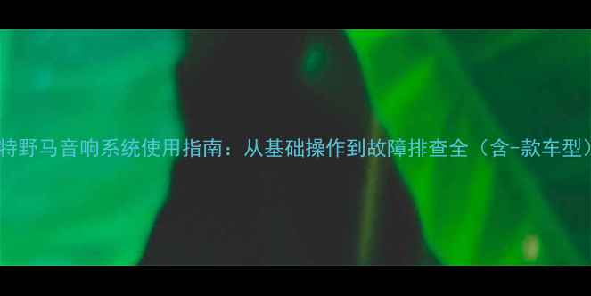 图片 福特野马音响系统使用指南：从基础操作到故障排查全（含-款车型）2