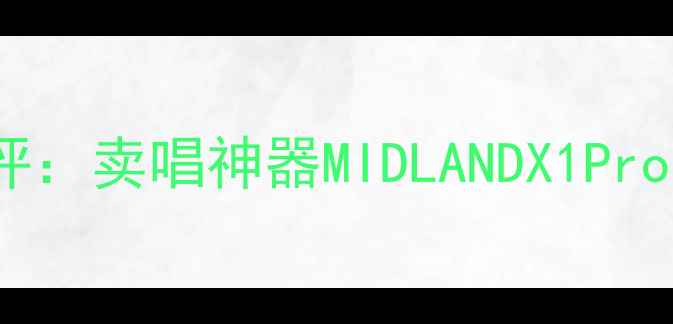 图片 米高户外便携音箱测评：卖唱神器MIDLANDX1Pro，音质与续航双逆袭2