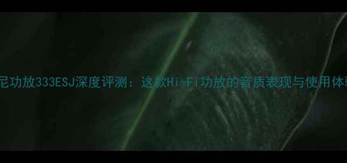 图片 索尼功放333ESJ深度评测：这款Hi-Fi功放的音质表现与使用体验1