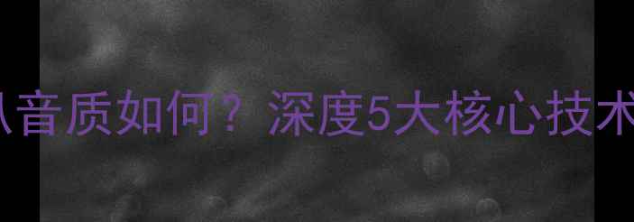 图片 索尼授权喇叭音质如何？深度5大核心技术及选购指南2