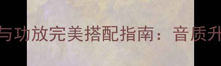 图片 索尼播放器与功放完美搭配指南：音质升级与连接全