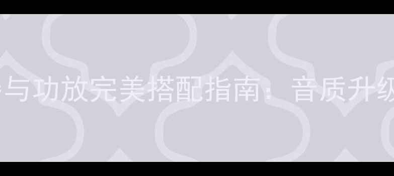 图片 索尼播放器与功放完美搭配指南：音质升级与连接全1