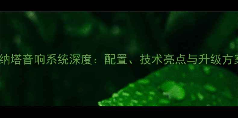图片 索纳塔音响系统深度：配置、技术亮点与升级方案1