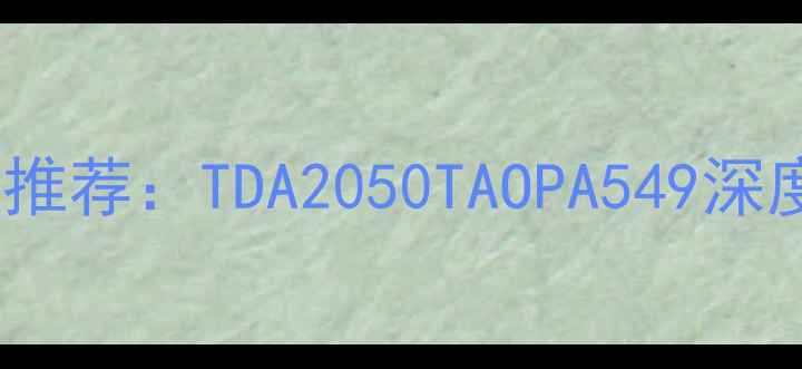 图片 纯低音炮运放推荐：TDA2050TAOPA549深度与选购指南2