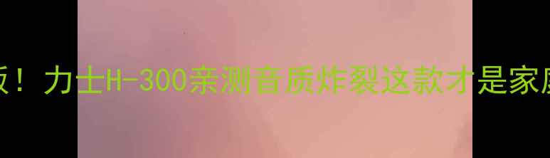 图片 纯甲类功放天花板！力士H-300亲测音质炸裂这款才是家庭影院王炸配置！