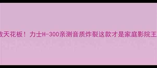 图片 纯甲类功放天花板！力士H-300亲测音质炸裂这款才是家庭影院王炸配置！1