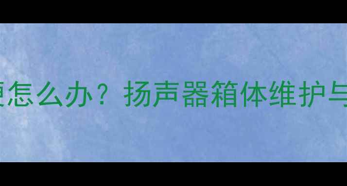 图片 纸盆音箱老化变硬怎么办？扬声器箱体维护与音质保护全攻略1