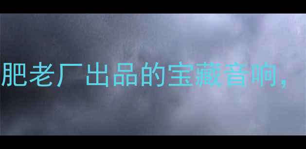 图片 纽曼音响真实测评！安徽合肥老厂出品的宝藏音响，百元价位音质不输千元机？