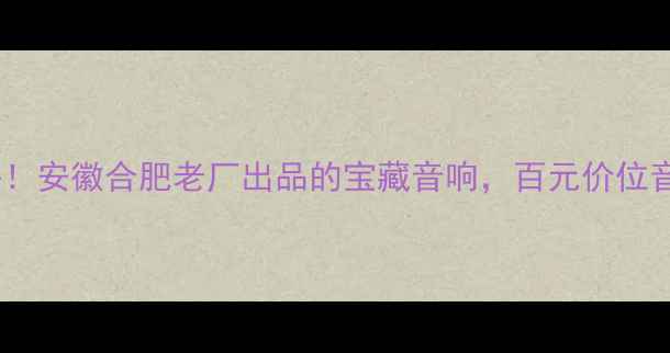 图片 纽曼音响真实测评！安徽合肥老厂出品的宝藏音响，百元价位音质不输千元机？1