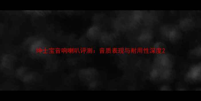 图片 绅士宝音响喇叭评测：音质表现与耐用性深度2