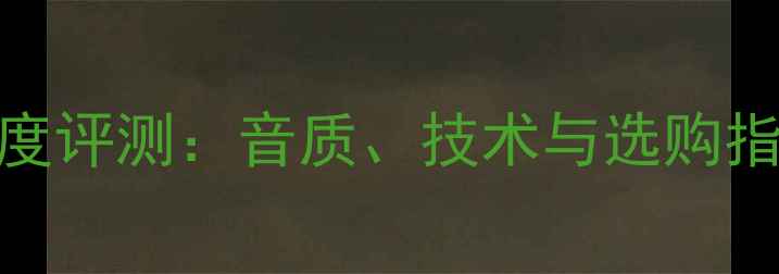 图片 缪斯AM-800音箱深度评测：音质、技术与选购指南（附实测数据）