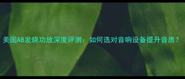 图片 美国AB发烧功放深度评测：如何选对音响设备提升音质？