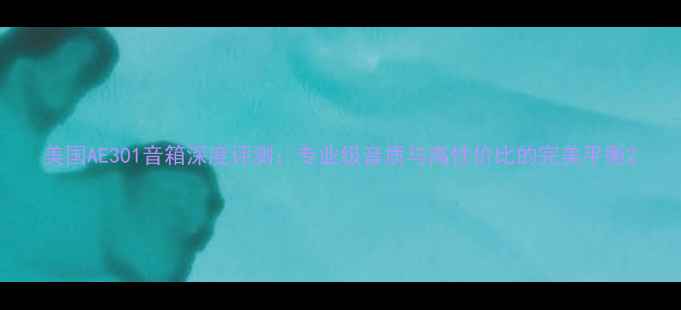 图片 美国AE301音箱深度评测：专业级音质与高性价比的完美平衡2