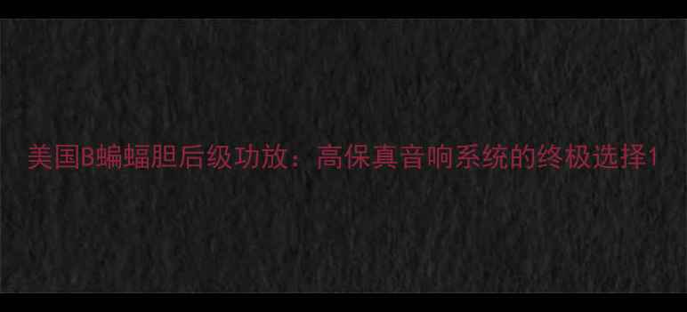 图片 美国B蝙蝠胆后级功放：高保真音响系统的终极选择1