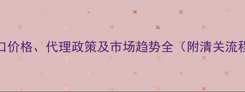 图片 美国EV音箱进口价格、代理政策及市场趋势全（附清关流程与选品指南）