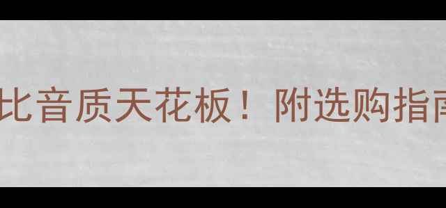图片 美国H类数字功放推荐｜高性价比音质天花板！附选购指南与实测对比（附赠避坑攻略）
