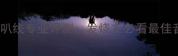 图片 美国XLOLE喇叭线专业评测：发烧友必看最佳音质升级方案