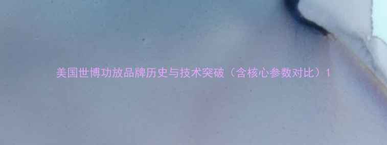 图片 美国世博功放品牌历史与技术突破（含核心参数对比）1