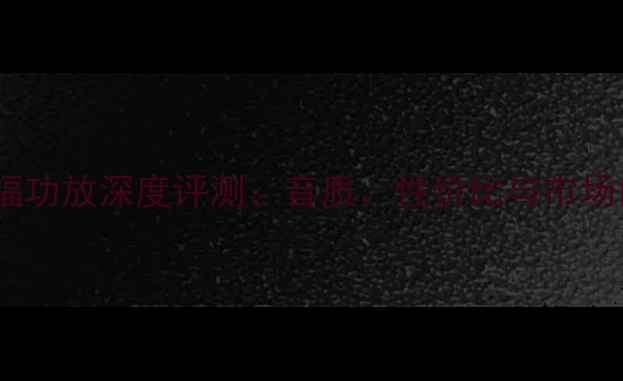 图片 美国来福功放深度评测：音质、性价比与市场口碑全1