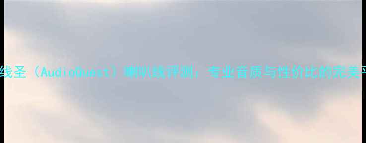 图片 美国线圣（AudioQuest）喇叭线评测：专业音质与性价比的完美平衡1