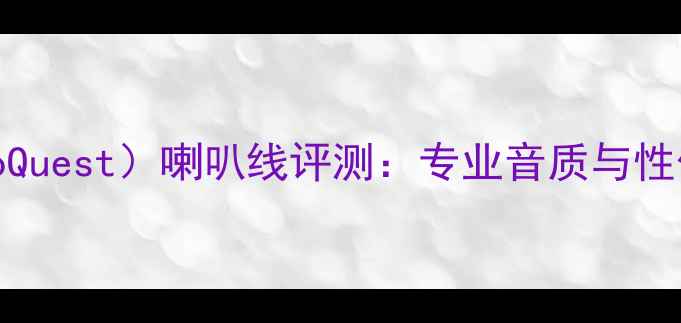 图片 美国线圣（AudioQuest）喇叭线评测：专业音质与性价比的完美平衡2