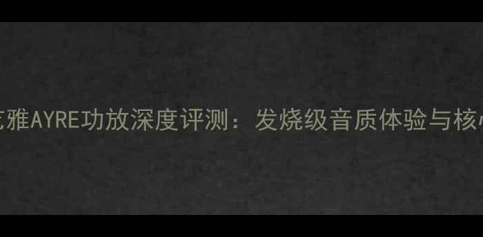 图片 美国艺雅AYRE功放深度评测：发烧级音质体验与核心技术