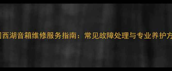 图片 美国西湖音箱维修服务指南：常见故障处理与专业养护方案1