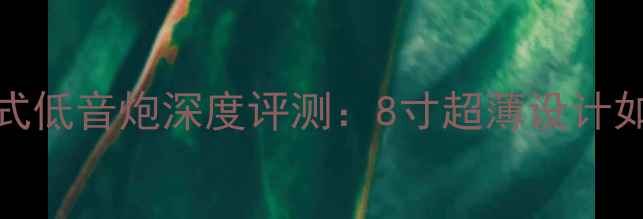 图片 美国霸克BC-08超薄书架式低音炮深度评测：8寸超薄设计如何颠覆家用音响体验？2