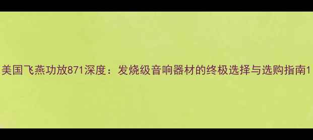图片 美国飞燕功放871深度：发烧级音响器材的终极选择与选购指南1