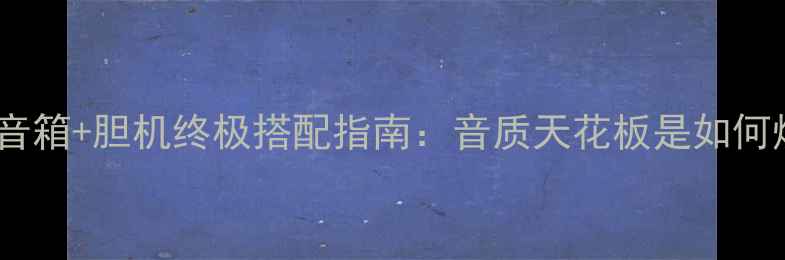 图片 美声753音箱+胆机终极搭配指南：音质天花板是如何炼成的？