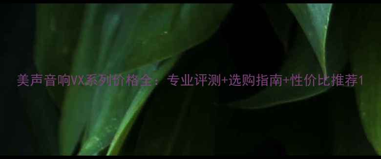 图片 美声音响VX系列价格全：专业评测+选购指南+性价比推荐1