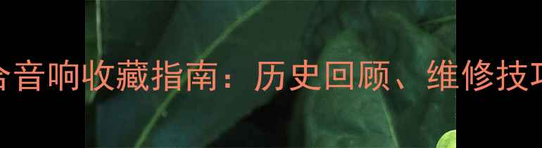 图片 老式先锋组合音响收藏指南：历史回顾、维修技巧与选购建议