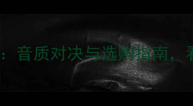 图片 胆机vs功放机：音质对决与选购指南，看完不再纠结2