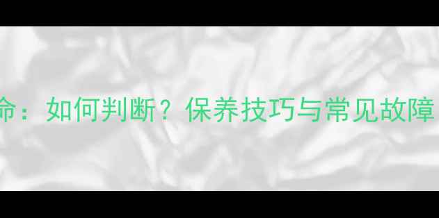 图片 胆机功放使用寿命：如何判断？保养技巧与常见故障（附检测方法）1