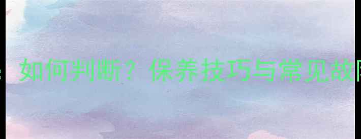 图片 胆机功放使用寿命：如何判断？保养技巧与常见故障（附检测方法）2