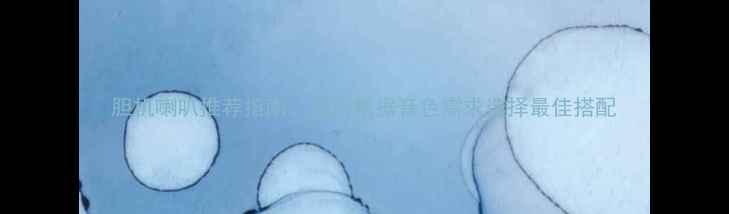 图片 胆机喇叭推荐指南：如何根据音色需求选择最佳搭配