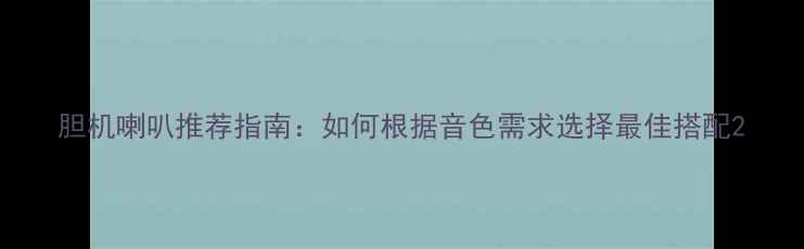 图片 胆机喇叭推荐指南：如何根据音色需求选择最佳搭配2