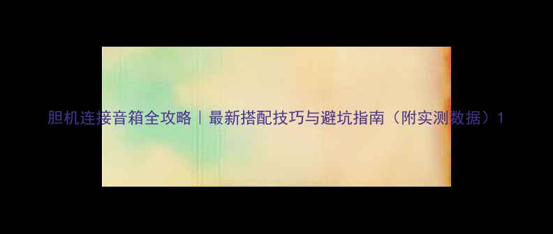 图片 胆机连接音箱全攻略｜最新搭配技巧与避坑指南（附实测数据）1