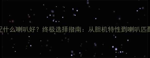 图片 胆机配什么喇叭好？终极选择指南：从胆机特性到喇叭匹配技巧