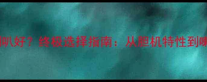 图片 胆机配什么喇叭好？终极选择指南：从胆机特性到喇叭匹配技巧2