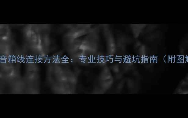 图片 胆机音箱线连接方法全：专业技巧与避坑指南（附图解）1