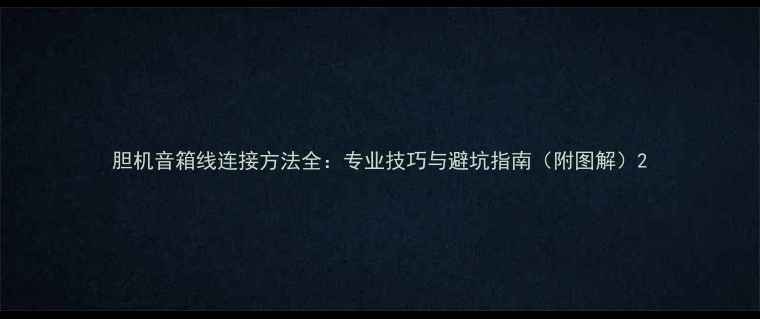 图片 胆机音箱线连接方法全：专业技巧与避坑指南（附图解）2